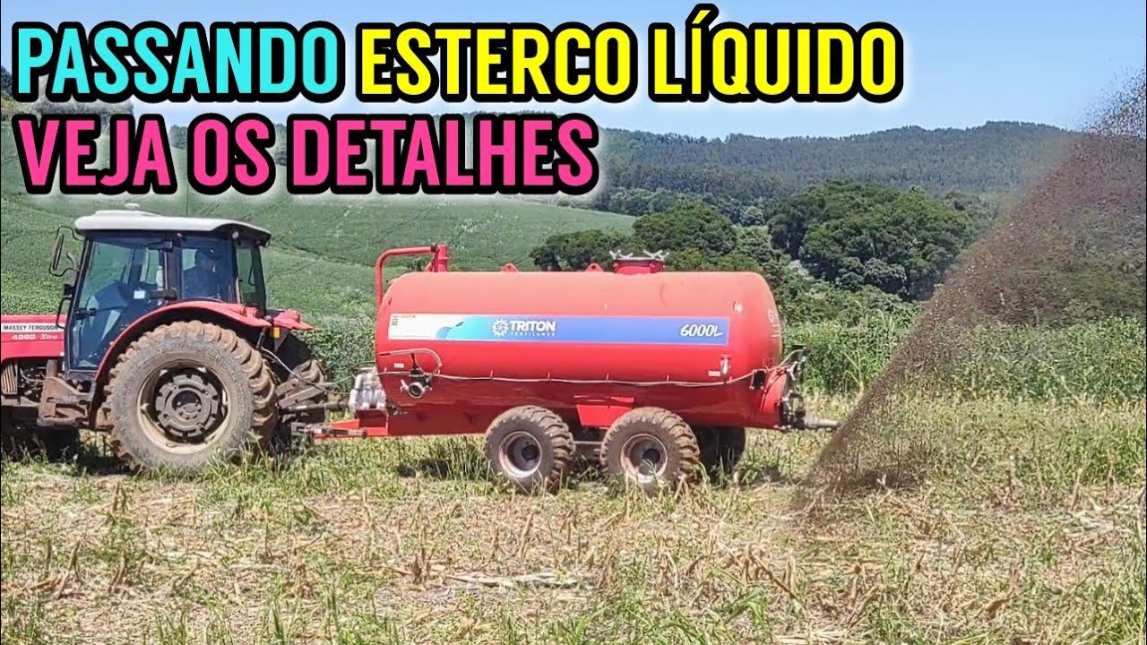Esparramando ESTERCO LÍQUIDO no milho para silagem (Safrinha 2023)