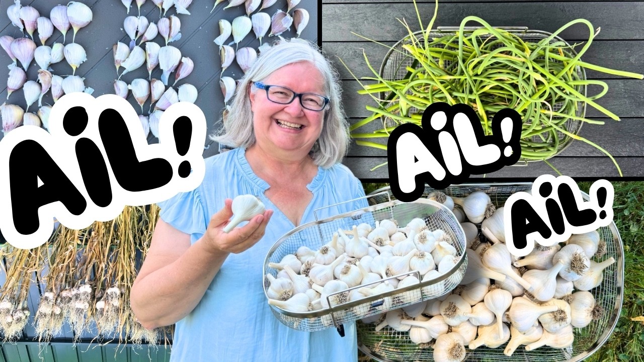 Comment cultiver de l’ail dans son jardin : les 4 saisons