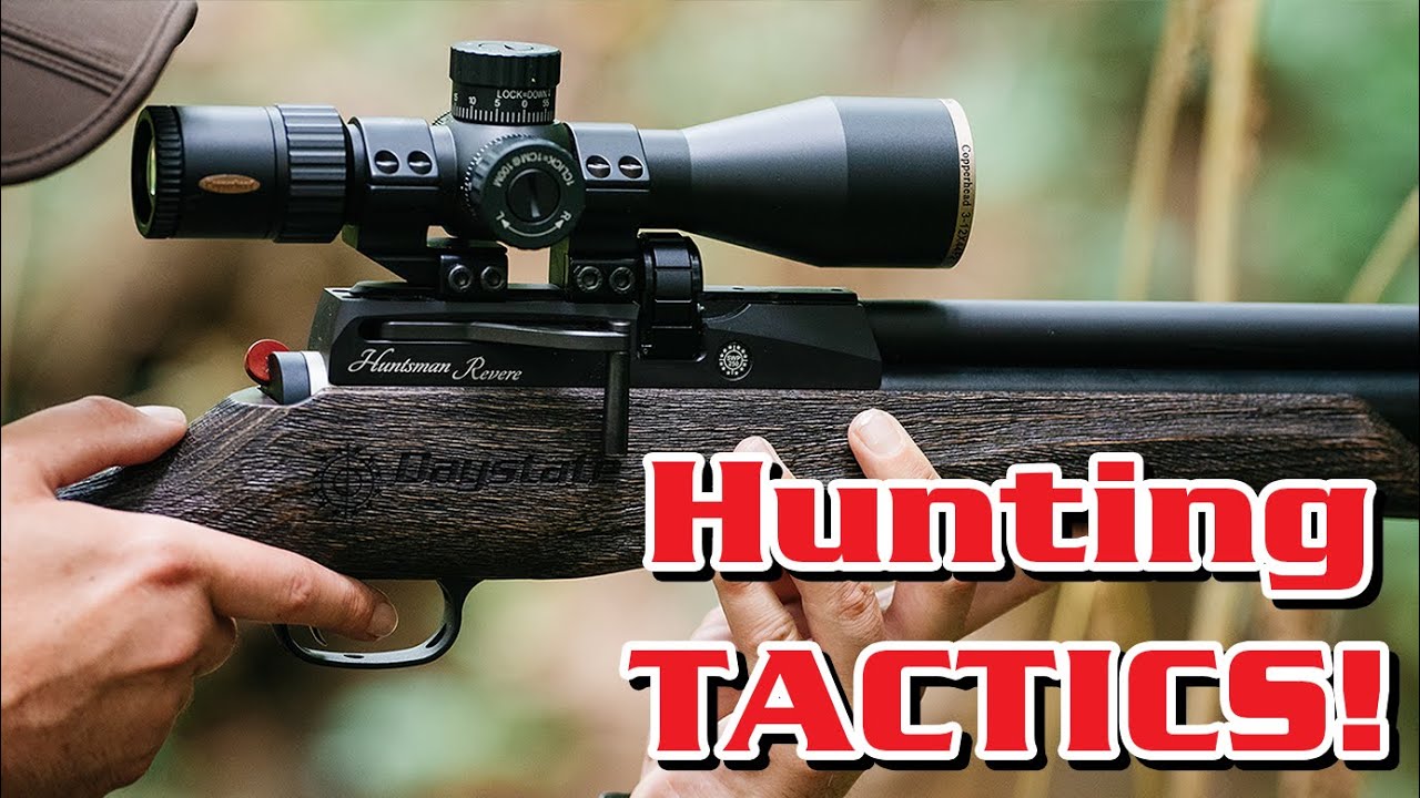 Тактика охоты летом с Daystate Huntsman Revere Safari Edition