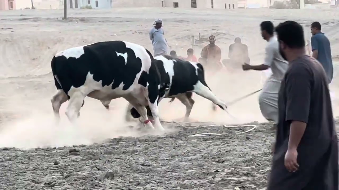 2 يوليو، 2025