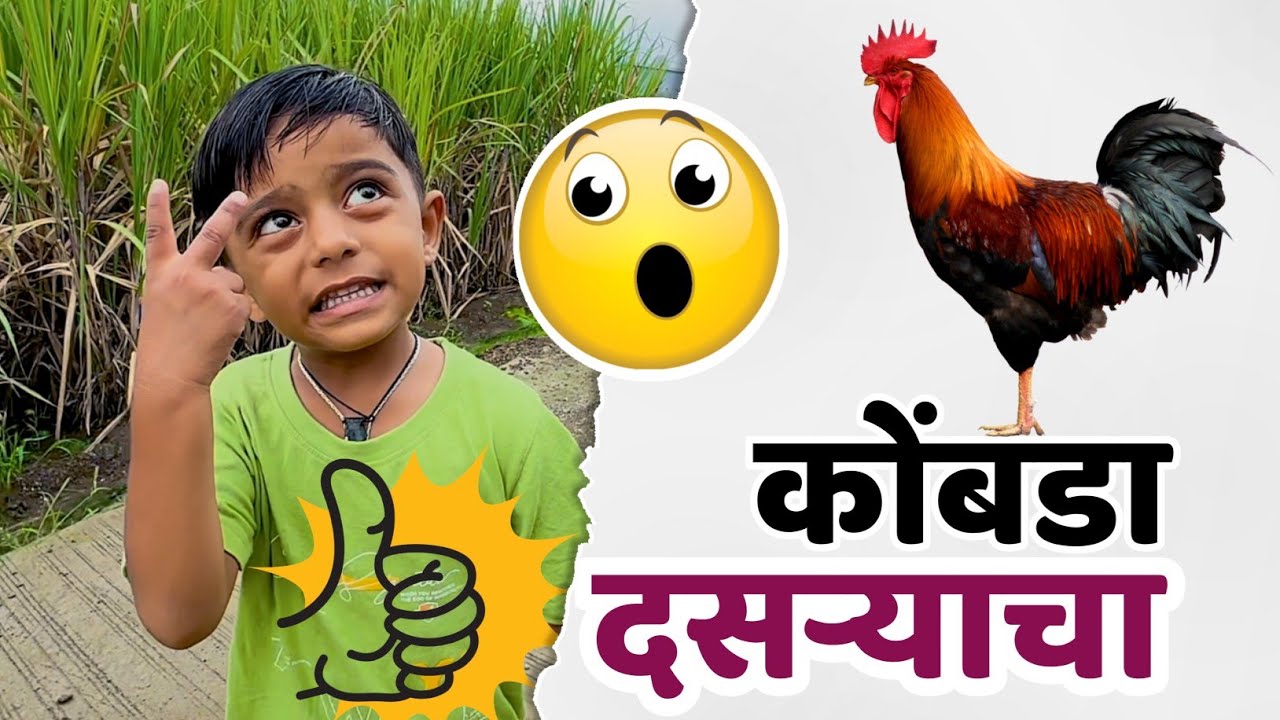 दसऱ्याला कोंबडा विकत आणला पण तो फरार झाला 🫢