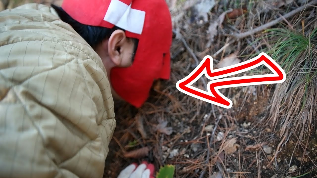 [우마]자연산 버섯 편!! 송이 버섯!! 능이 버섯!! 버섯 삼대장!! Natural Mushroom!!!