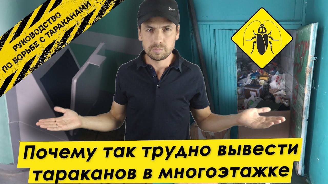 Откуда берутся тараканы [ПОДВАЛ и МУСОРОПРОВОД]