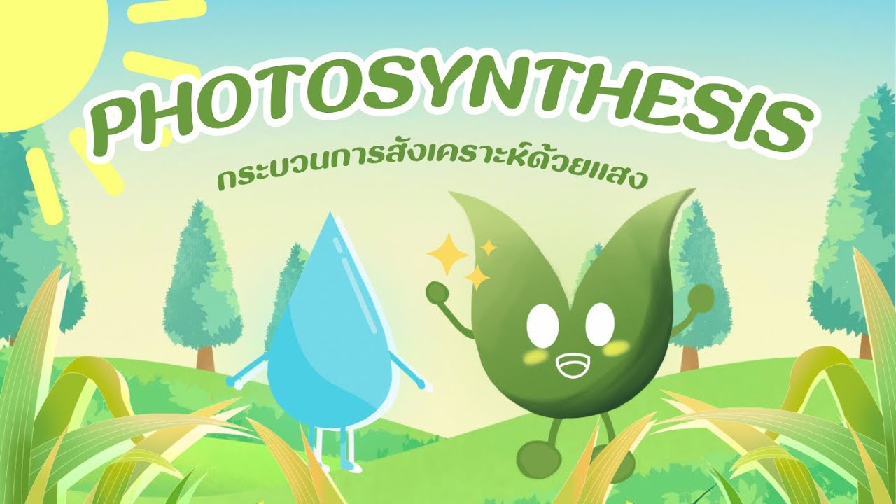 Animation Photosynthesis | กระบวนการสังเคราะห์ด้วยแสง 