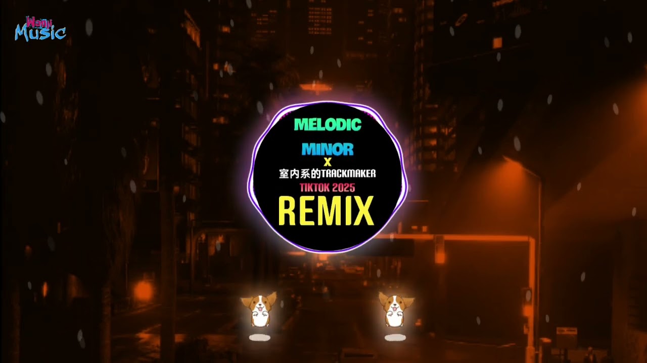 室内系的TrackMaker x Melodic Minor (DJ抖音版 Remix Tiktok 2025) - Hanser 法修散打 (高峰期的街上堆满车子) || 口水旋律