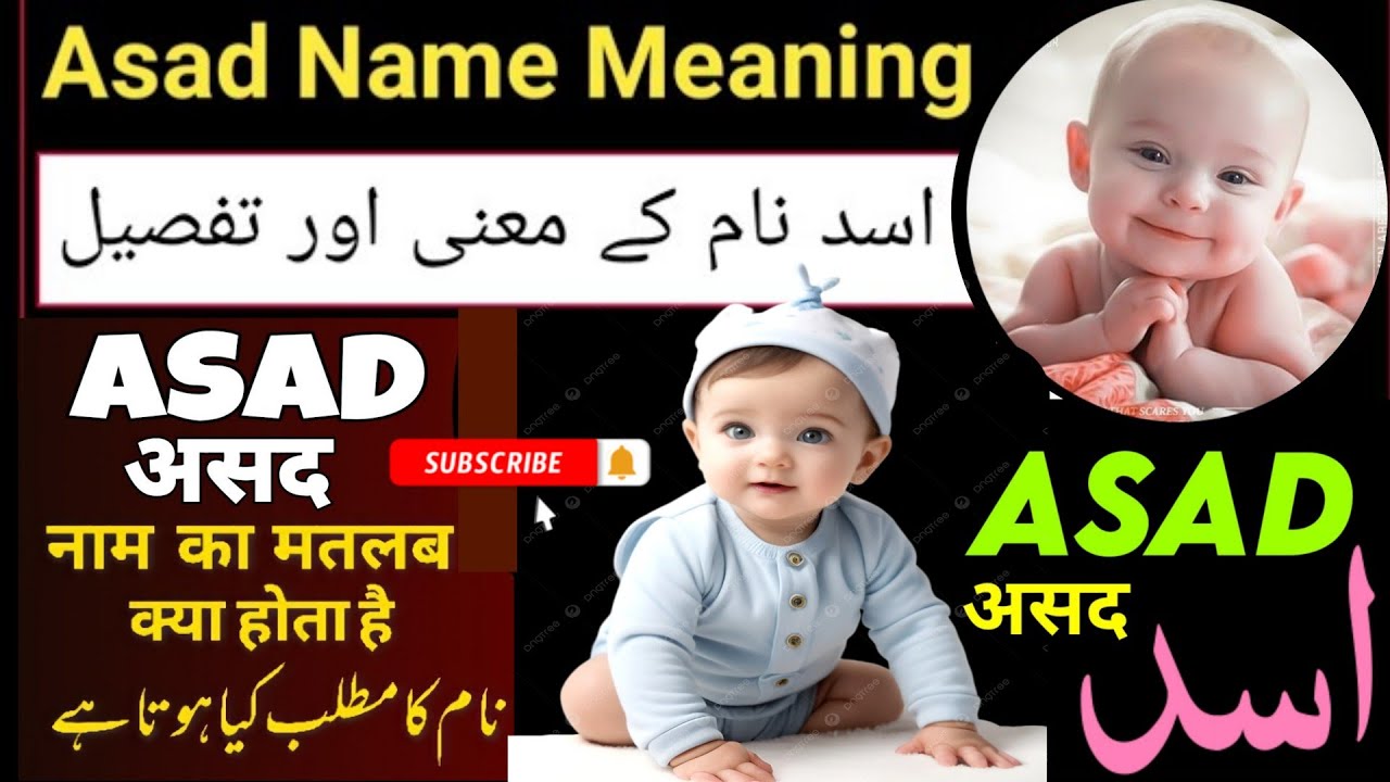 Asad Naam Ka Matlab, Baby Boy Names White Meaning In Urdu, Beautiful Name Asad