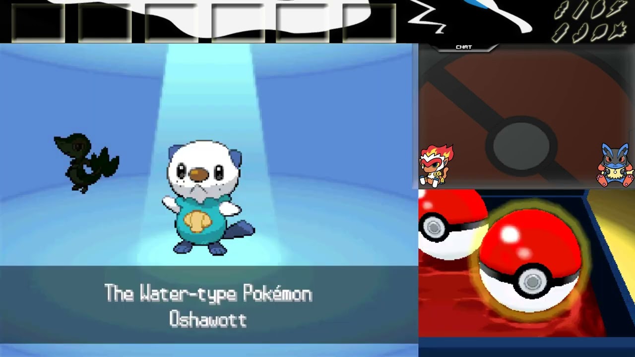 Pokemon Black & White + Black2 & White2 3 Way Race! With Jahauf & Scourge! [Part 1]