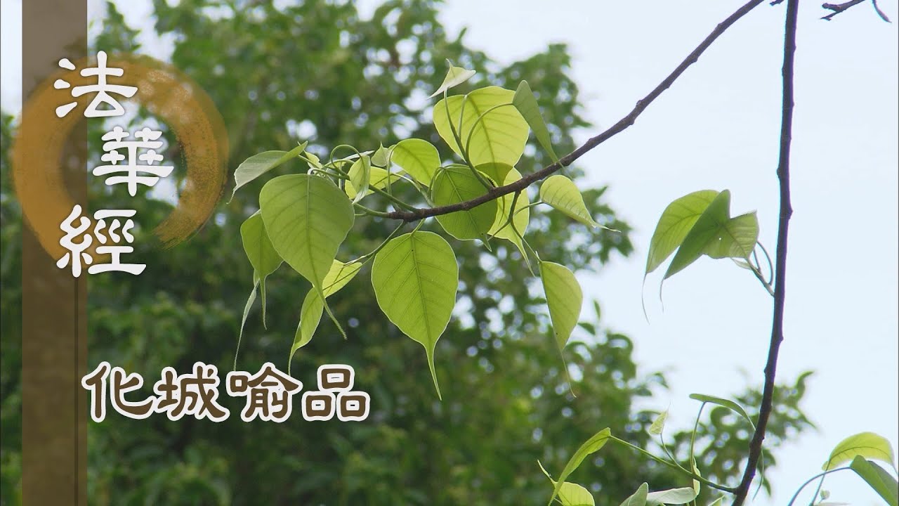 【靜思妙蓮華】法華經化城喻品 - 入如來藏 開甘露門 - 20211129 第1034集