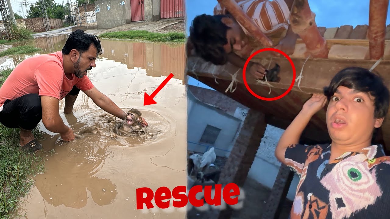 Jimmy Doob Gea 😨 Ajeeb Ceez Rescue Ki 😱