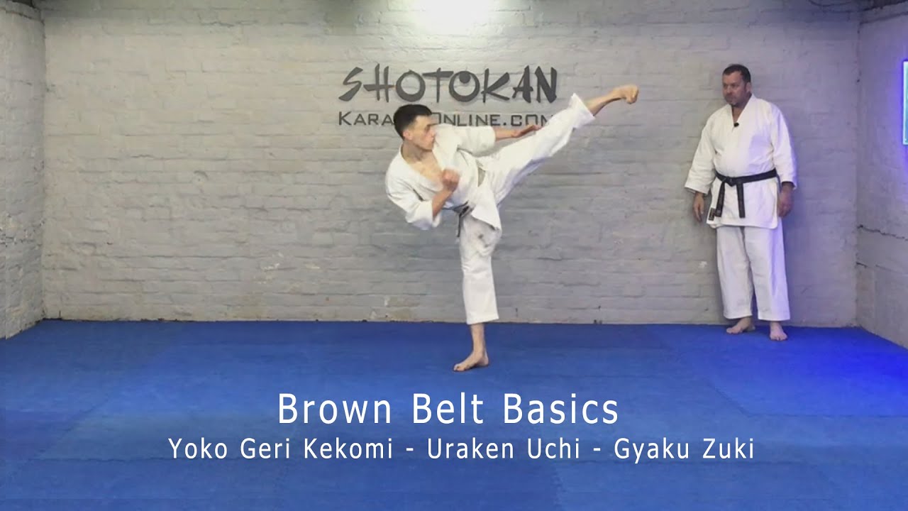 2nd Kyu Syllabus Yoko Geri Kekomi Uraken Uchi Gyaku Zuki Brown Belt Basics
