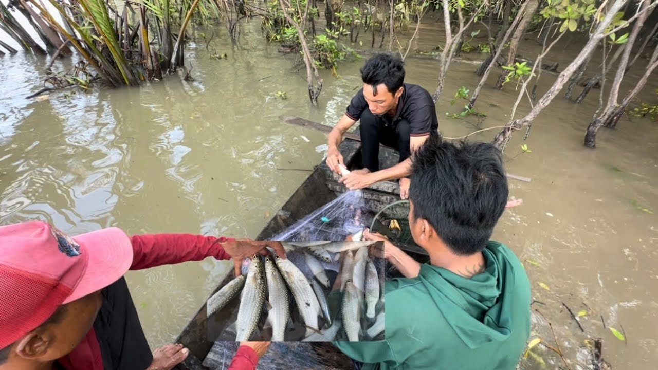 Ở ngoài Sông toàn là Cá Đói khủng quá nhiều / Săn bắt ở cửa biển Trần Đề VXĐ ..phần 4 