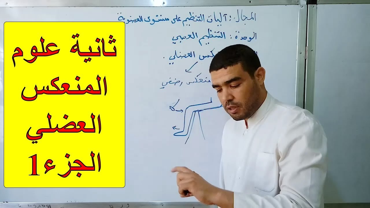 المنعكس العضلي (الجزء1)