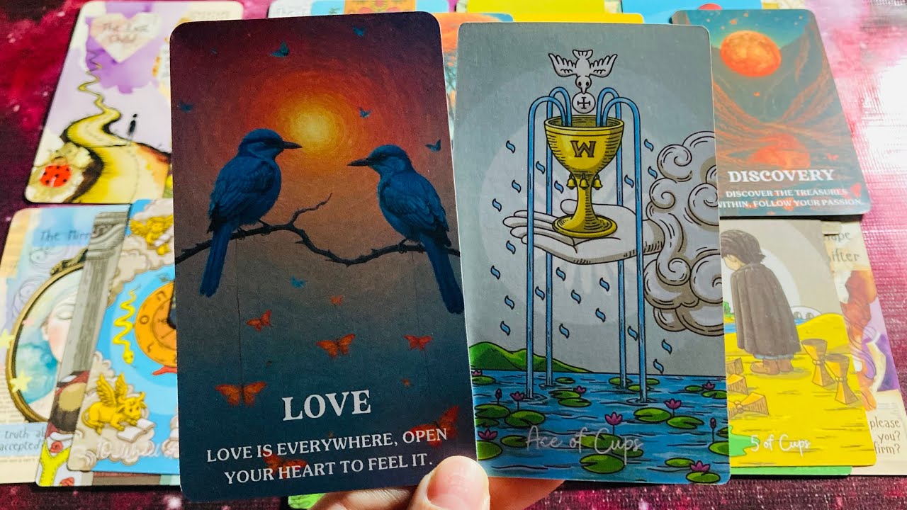 Their Feelings & Thoughts 💙💙 Timeless Tarot 🧡🧡 Hindi-Urdu 💙💙