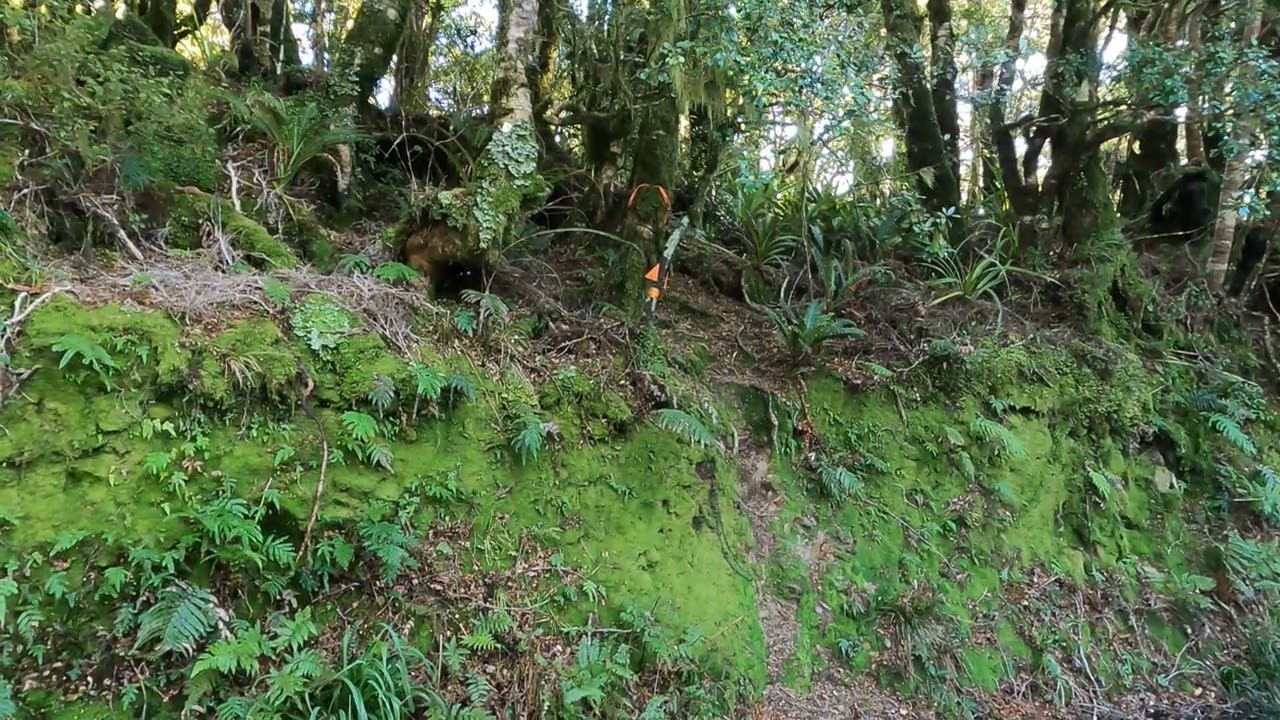 Remutaka: Bayonet Peak Part 2