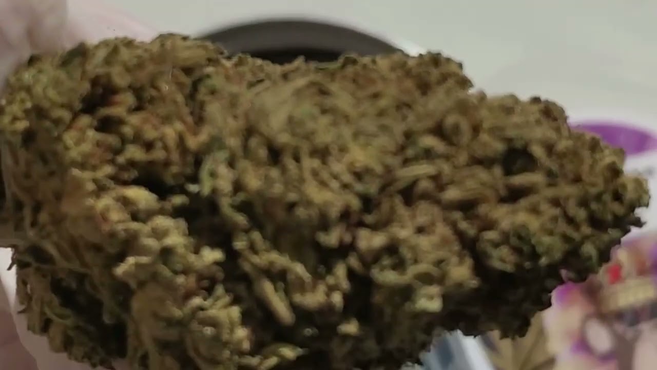 Odile.green Gorilla Glue CBD - Ouverture de Bo&icirc;te Video