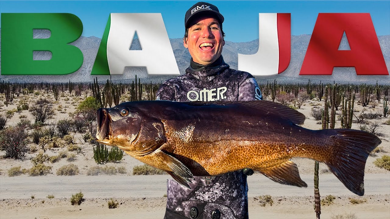 7 Day Spearfishing Road Trip Baja Mexico (Part 1)