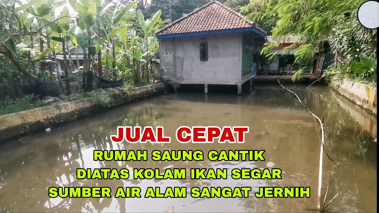 JUAL RUMAH SAUNG DIATAS KOLAM AIR MENGALIR SANGAT JERNIH TAMANSARI BOGOR #tanahdijual #rumahdijual