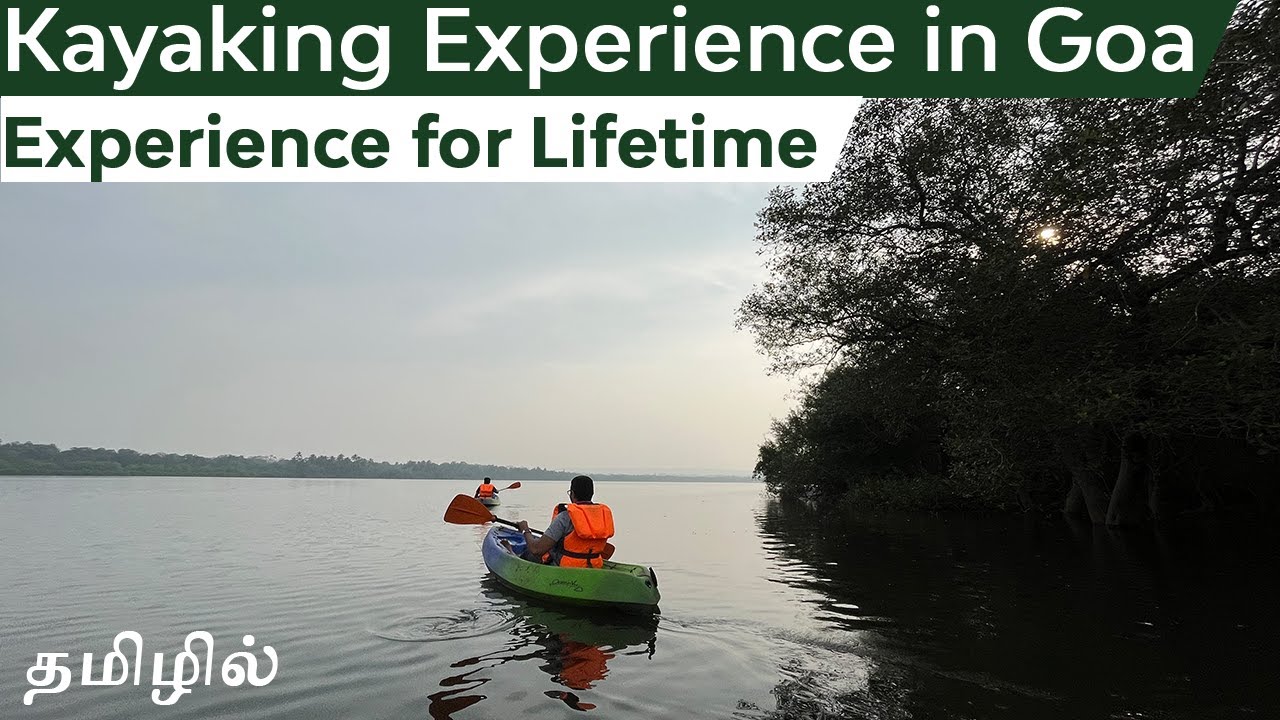 Kayaking in Chapora river, Goa | Kayaking in Mangrove forest | Off beat places in Goa