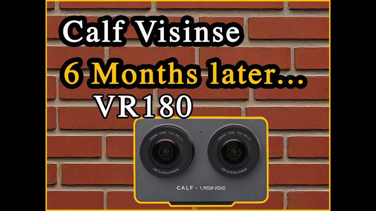 Calf Visinse 6 Months Later...