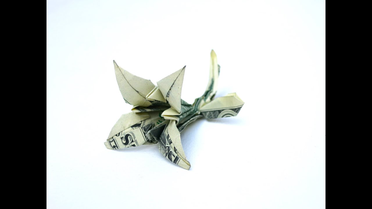 How to make a Lily from a 100 dollar bill