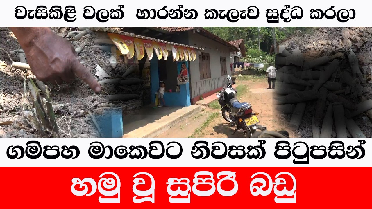 ගමිපහ මාකෙවිට නිවසක් පිටුපසින් හමු වූ සුපිරි බඩු/වැසිකිළි වලක් හාරන්න ගිහින්/@ADARATANEWS
