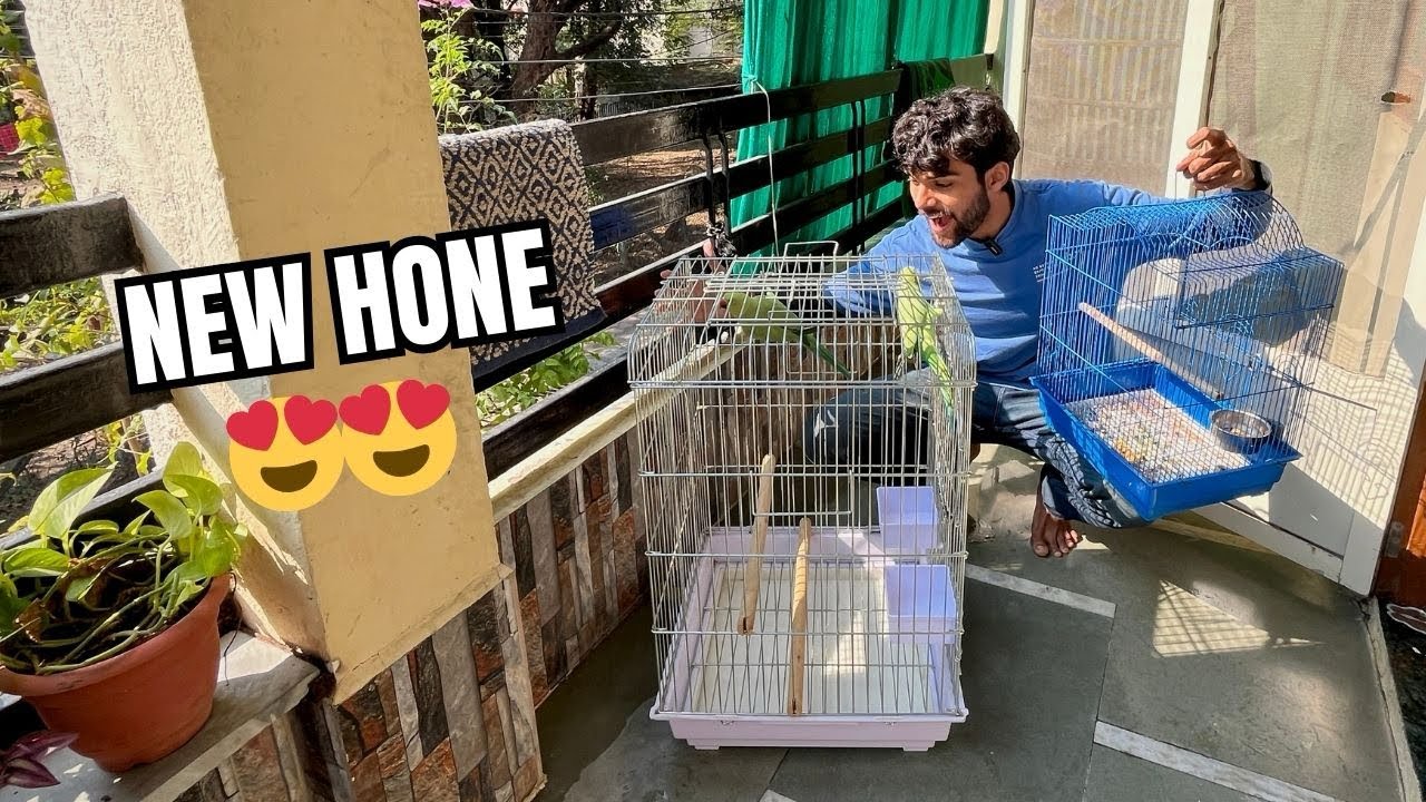 Parrots Ka Naya Ghar 🦜 | Mummy vs Bhai😂 | Daily Vlog 36