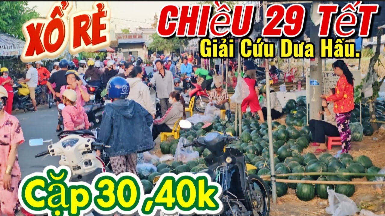 Giải Cứu _Xổ Rẻ Dưa hấu chiều 29 Tết _Nổi Lo Cái Tết thất thu ,Lỗi Vốn Nặng //SANG TRAN VLOG 