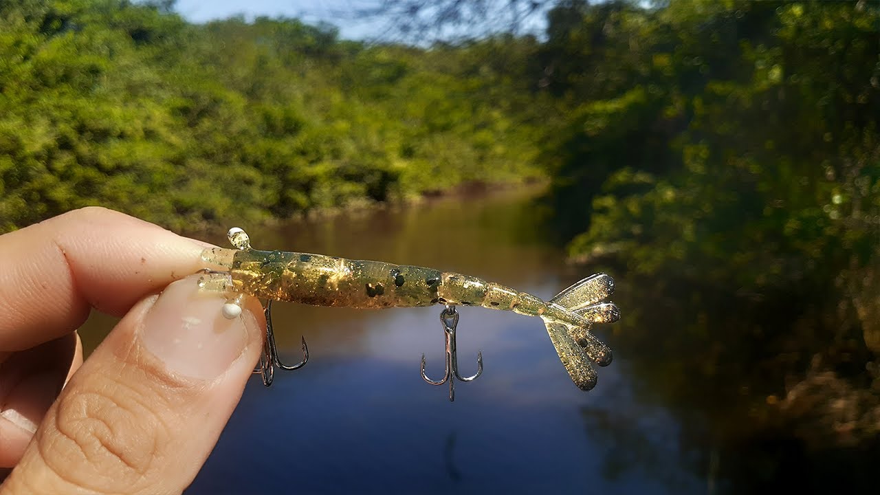 CAMAR&Atilde;O PLUG OS ROBALOS N&Atilde;O RESISTEM A ESSA ISCA