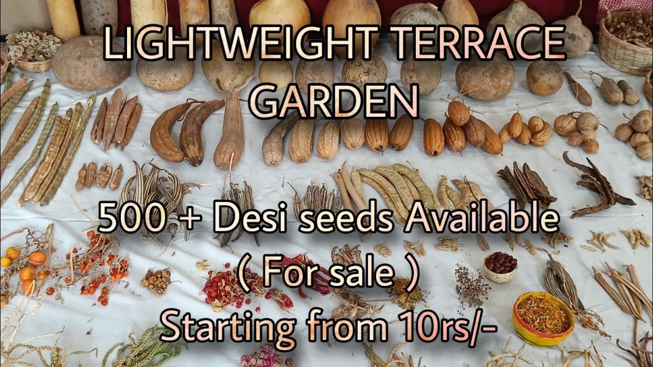 500+ Organic seeds available from 10rs to 50rs