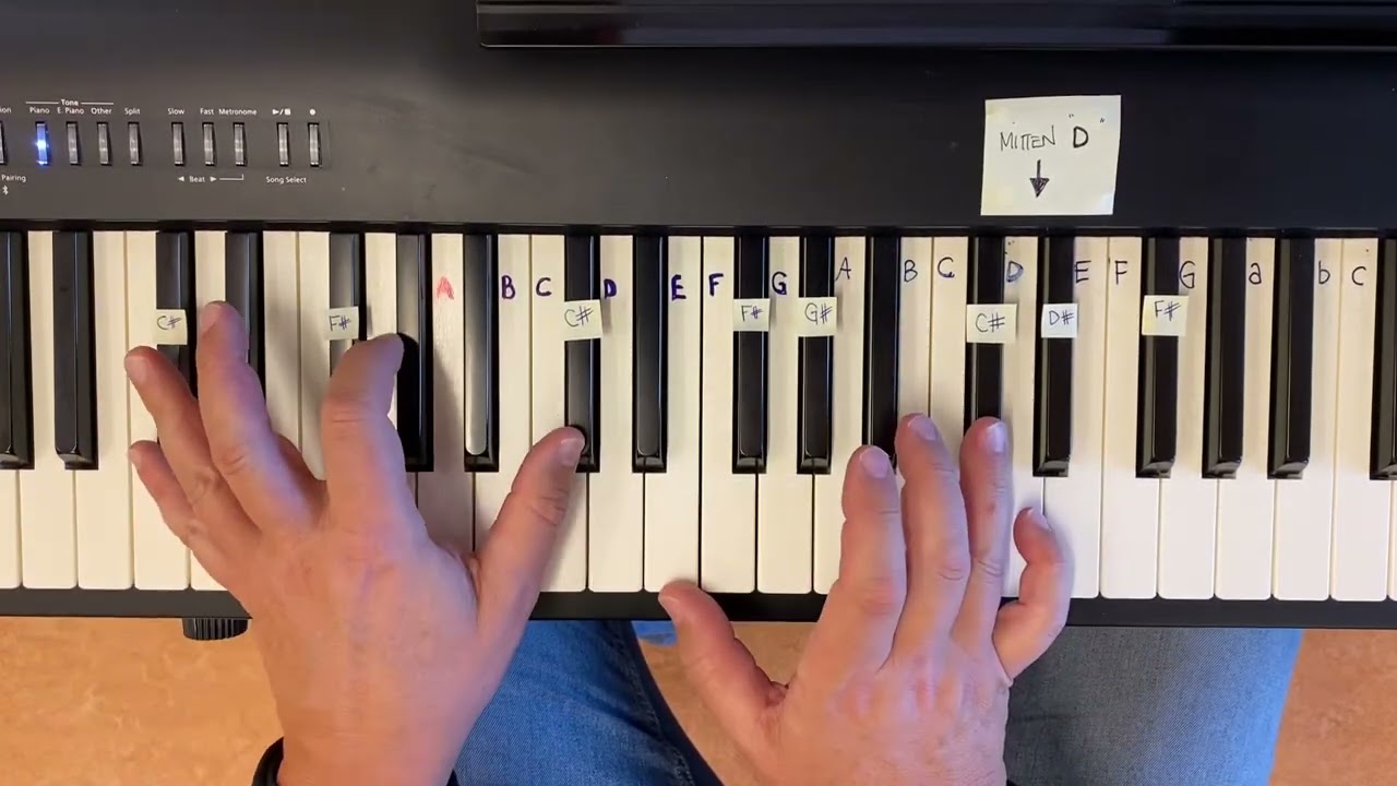 Hur man spelar Månskenssonaten på piano