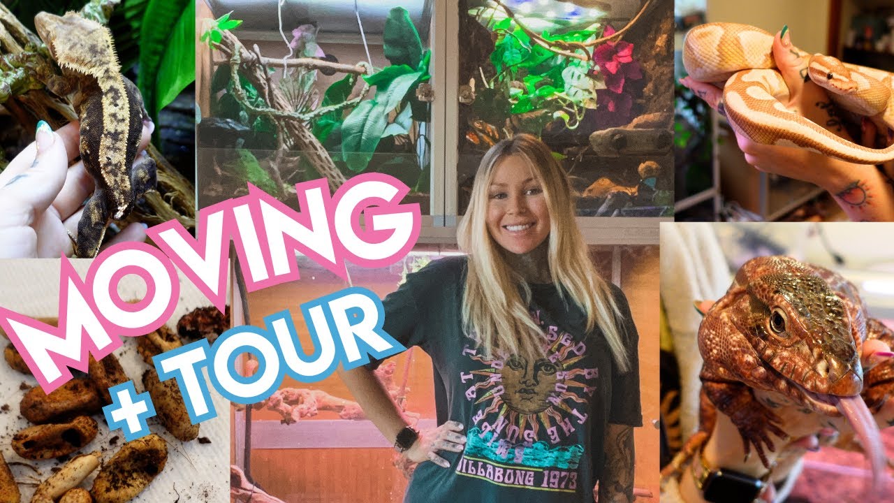 🐸🐍 Moving ALL My Animals + New Room Tour!