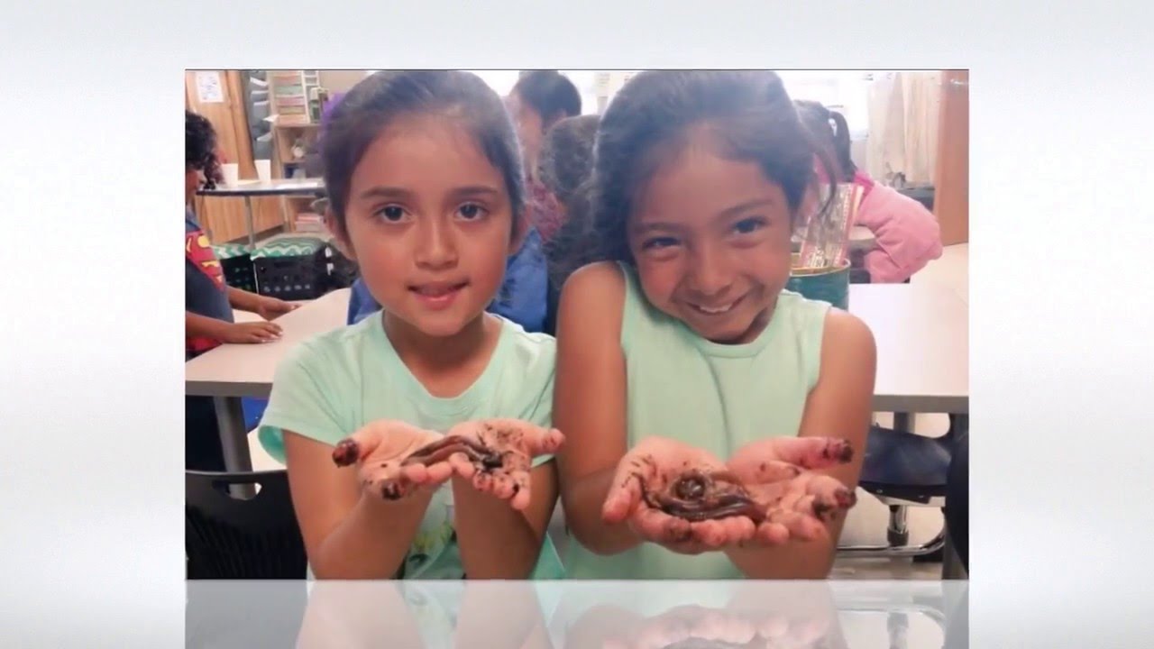 Innovative Teaching & Learning Showcase