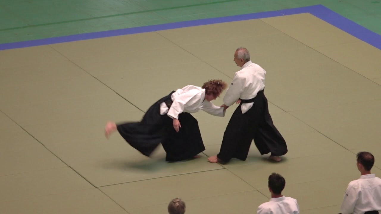 Endo Shihan, 2019 All Japan Aikido Embukai