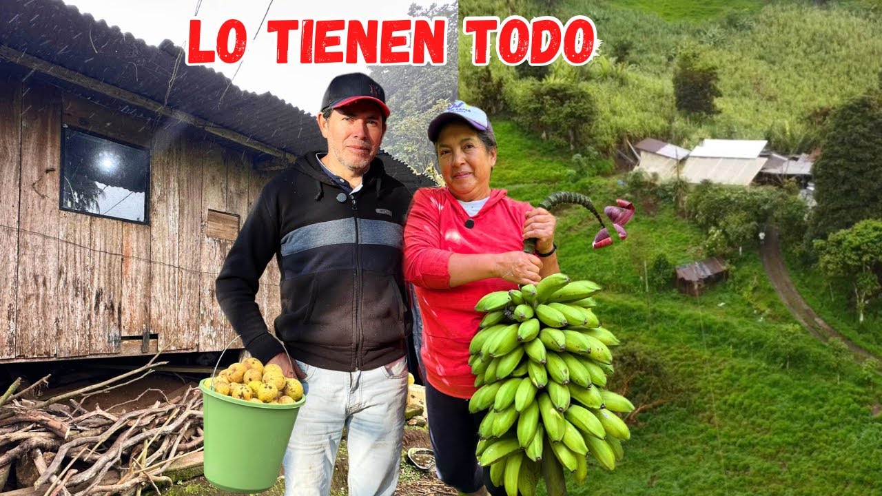 VIVEN FELICES sobre colinas en MEDIO de TODO 🥹❤️ Josué y Elie 