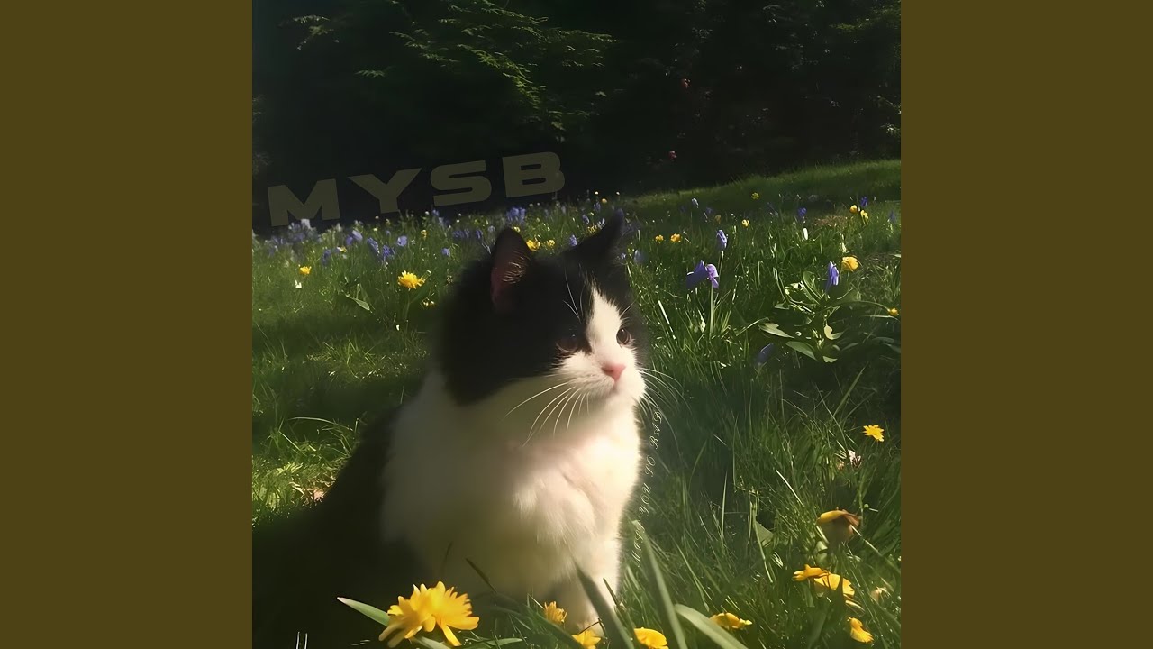 MYSB (Miss You so Bad)