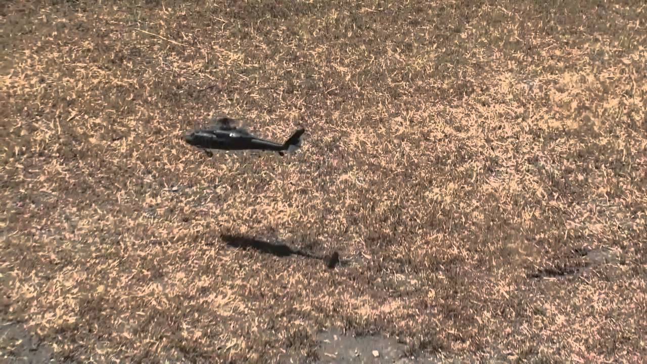Nine Eagles Black Hawk 319A Solo Pro 6CH Flybarless 2.4G Helicopter RC Helicopter