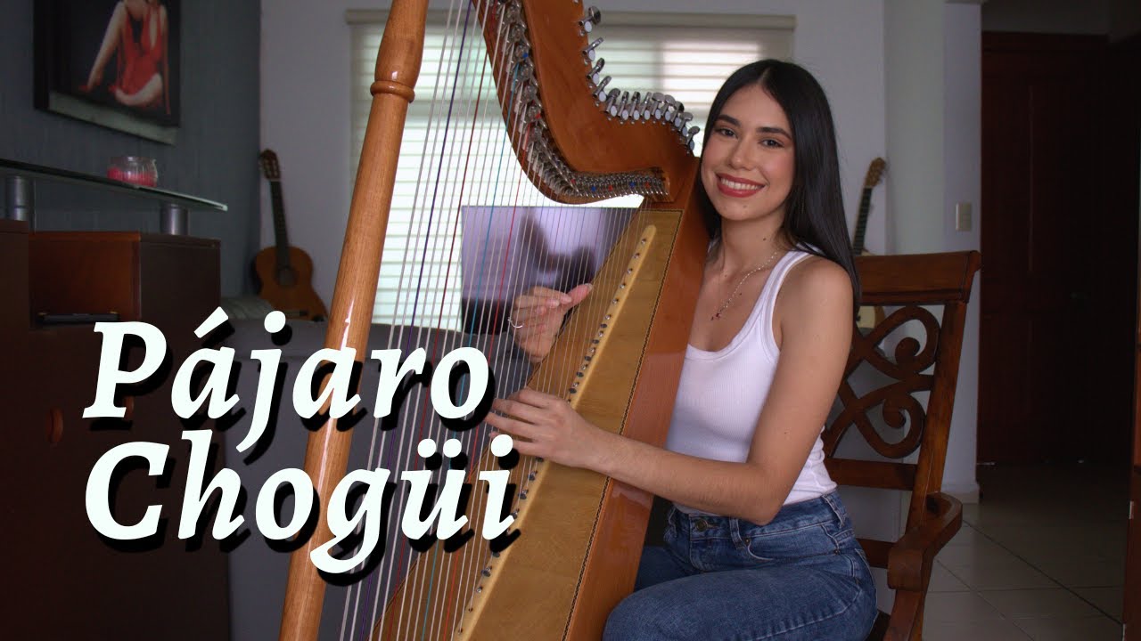 Pájaro Chogüi | Versión instrumental en el ARPA Paraguaya!
