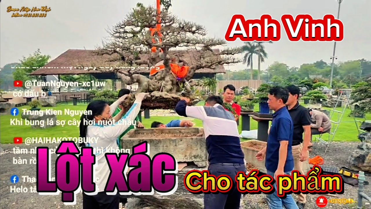 Anh Vinh Lột xác từ thay chậu  cho tác phẩm 