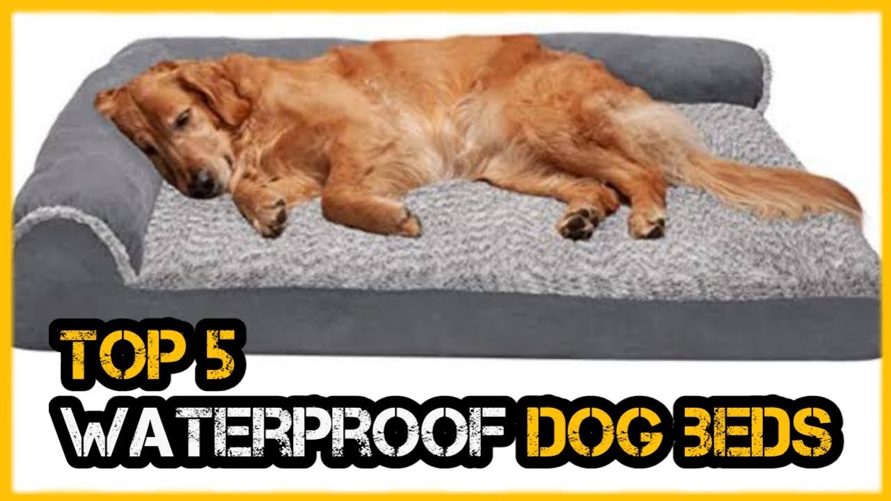 Best Waterproof Dog Beds (Reviews)
