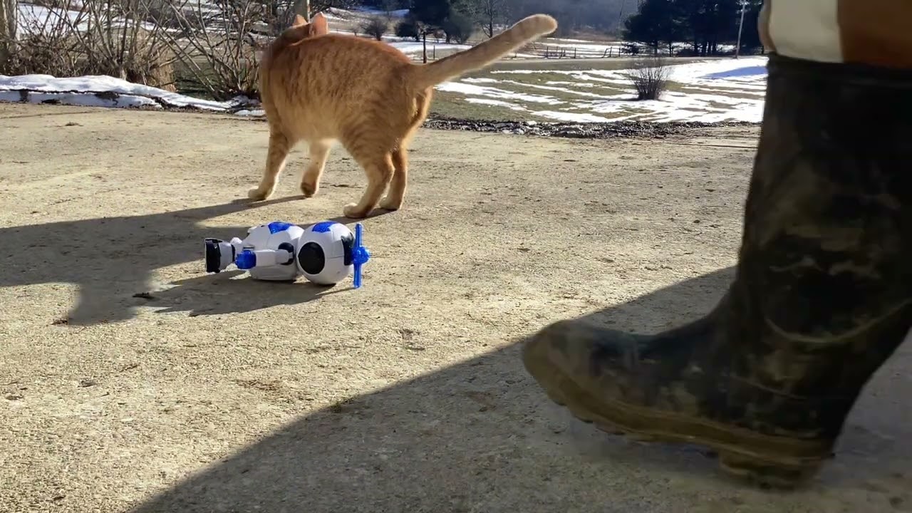 ￼ Custom Naughty robot BREAKS ON CAMRA