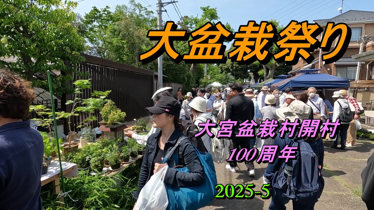 2025大盆栽祭り・大宮盆栽村開村100周年（さいたま、2025-5）