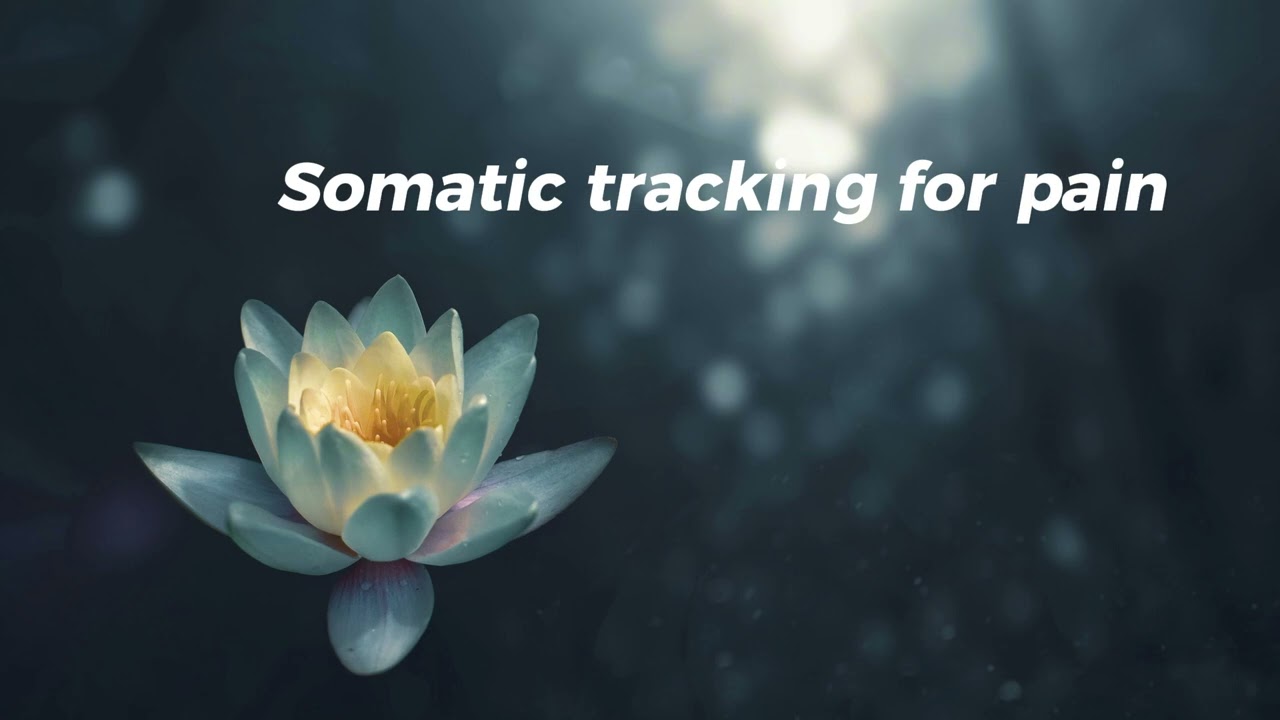 Somatic Tracking for Chronic Pain | Notes from the body