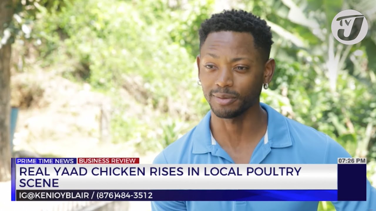 Real Yaad Chicken Rise in Local Poultry Scene | TVJ Business Day Review