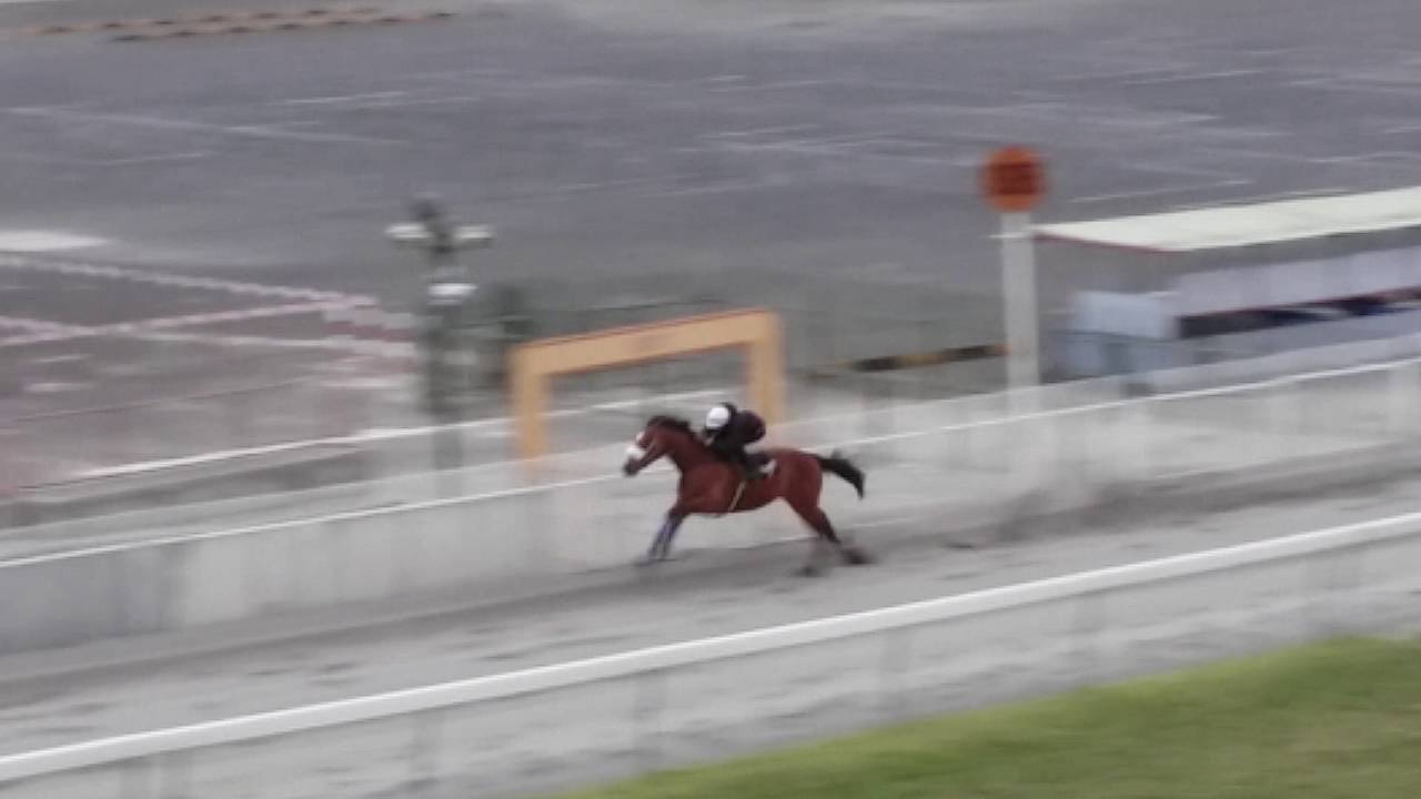 Parachute Man - Maiden Gallop