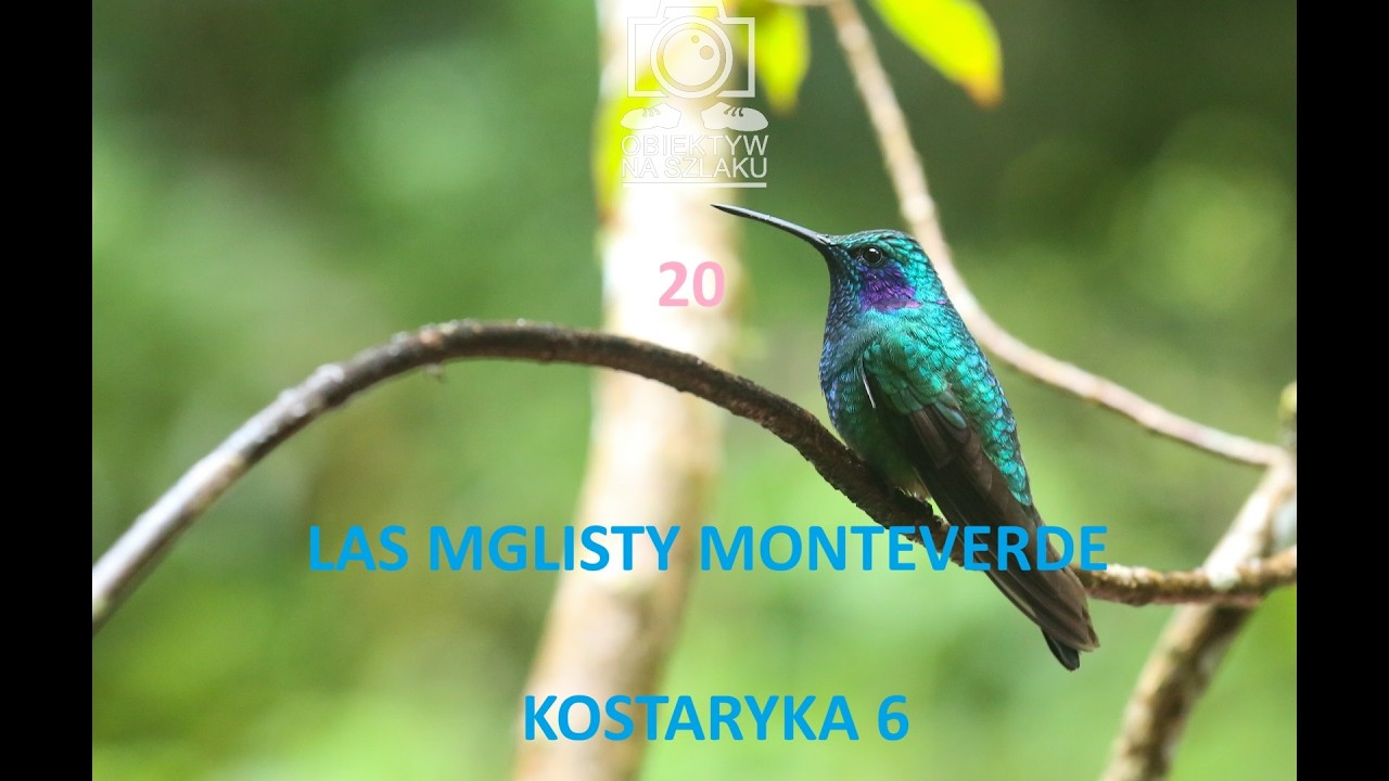 LAS MGLISTY MONTEVERDE KOSTARYKA