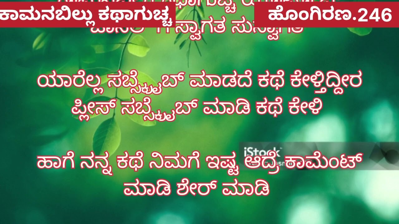 ಹೊಂಗಿರಣ ❤️ 246