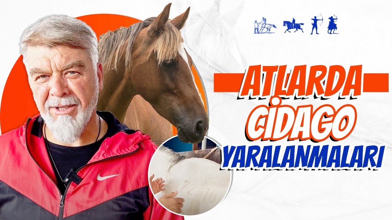 Atlarda 