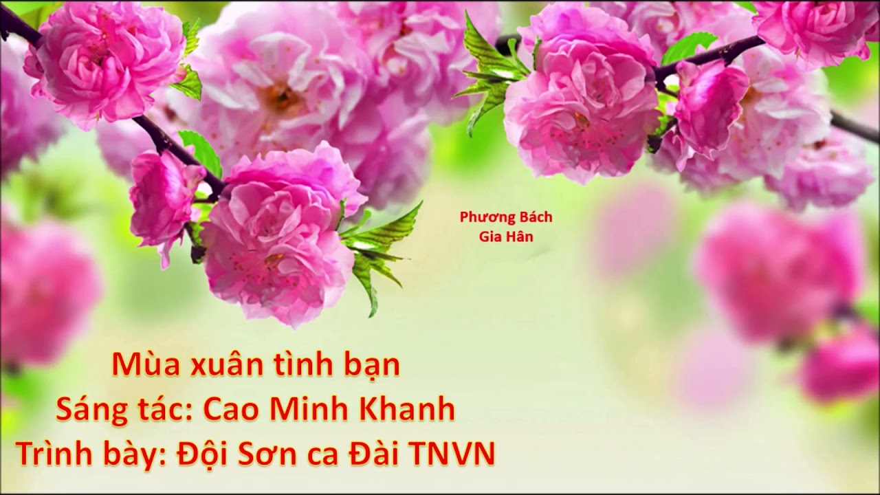 Nhạc Tết VOV - Nhạc mùa xuân đài tiếng nói Việt Nam