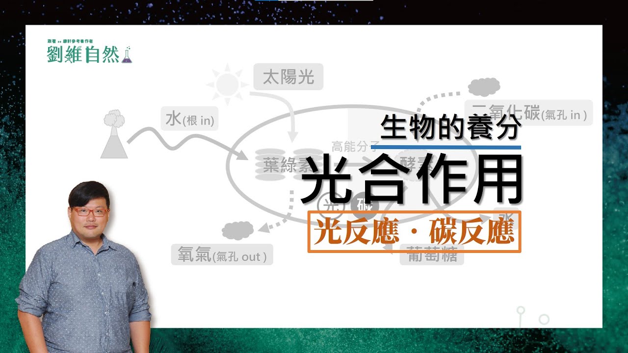 |生物教學|108課綱|光合作用|葉肉|保衛細胞|國七版|國中生物  (Photosynthesis | Mesophyll | Guard Cell)