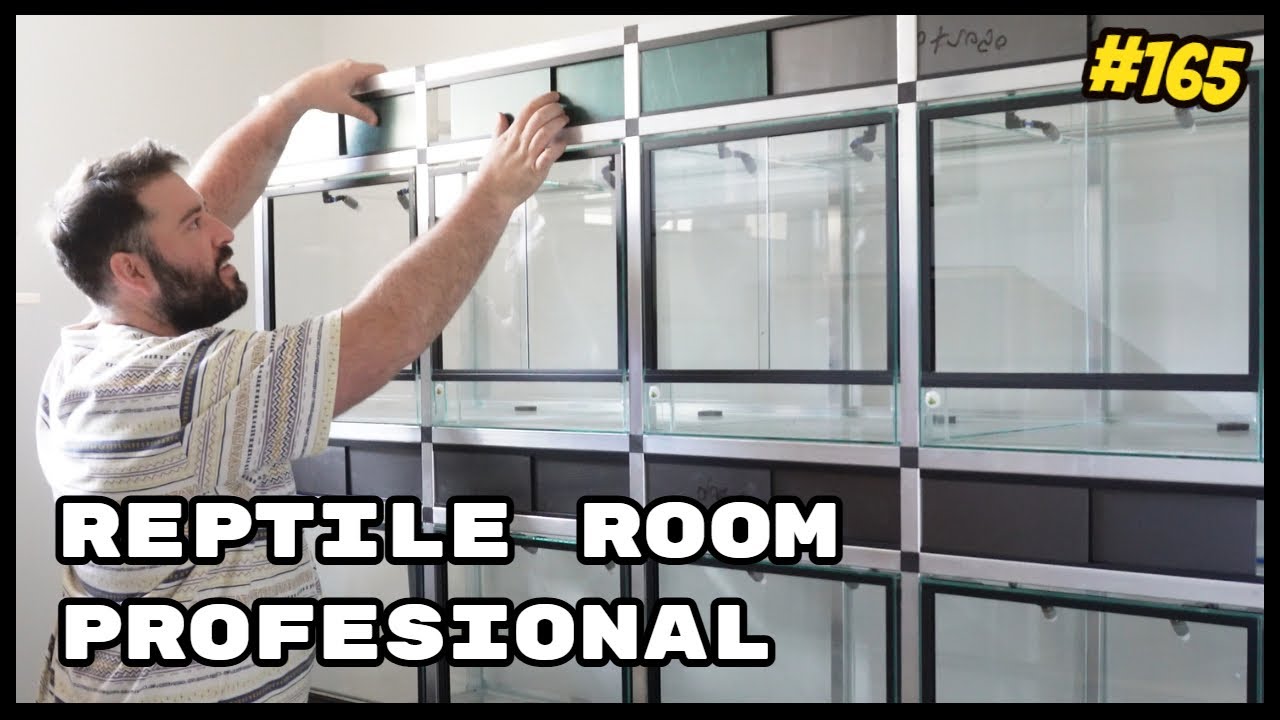 🦎 NUEVA REPTILE ROOM ➡️➡️ ESTANTERÍAS DE ALUMINIO PARA TERRARIOS | KANAKY VLOG #165
